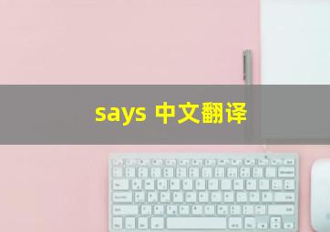 says 中文翻译